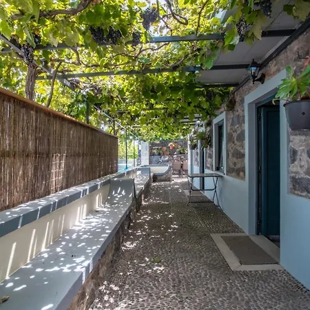 Madeirense In Santa Cruz (Madeira)